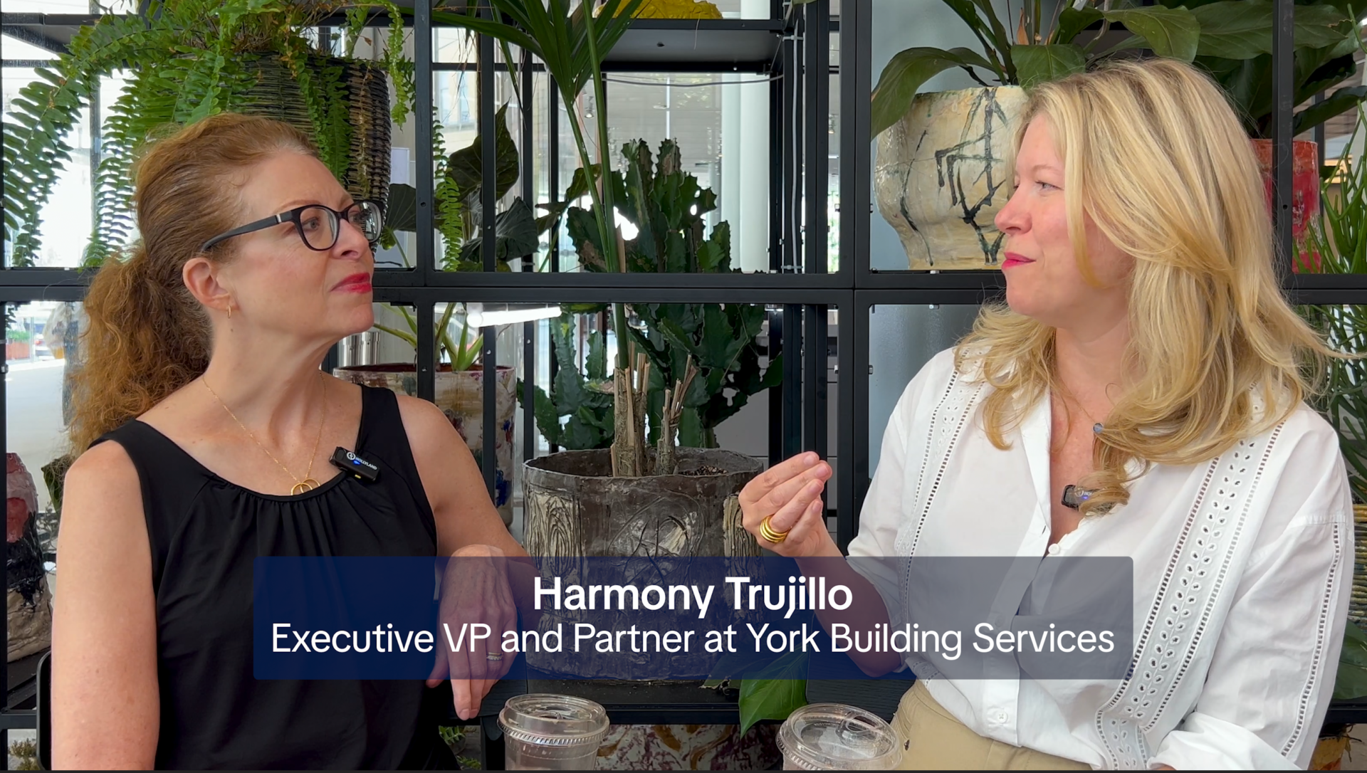 Member Spotlight: Harmony Trujillo on Collaborative Cleaning